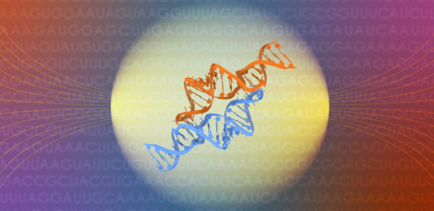RNA
